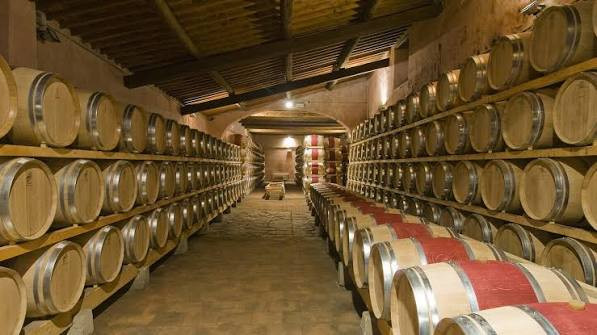 Frescobaldi Experience - Tuscany (3)